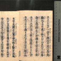040-ZN00200.jpg