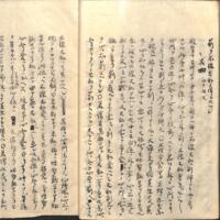 0023-ZN00264.jpg