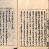 020-ZN00930.jpg