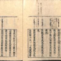 009-ZN00207.jpg
