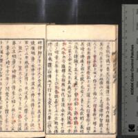 013-ZN00286.jpg