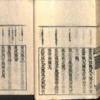 037-ZN01010.jpg