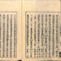 010-ZN00932.jpg