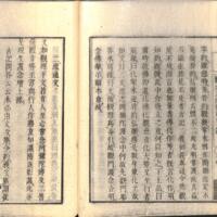 026-ZN00491.jpg