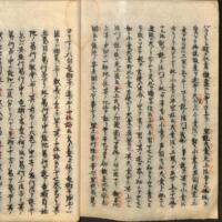 043-ZN00787.jpg