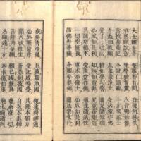 032-ZN00315.jpg
