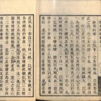 041-ZN00075.jpg