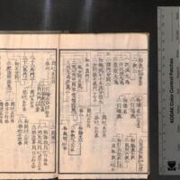 0012-ZN00284.jpg