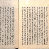 023-ZN00956.jpg