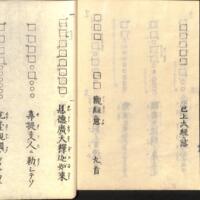 046-ZN00213.jpg