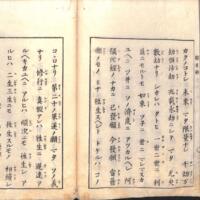 033-ZN01056.jpg