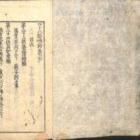 002-ZN00595.jpg