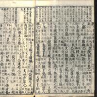 028-ZN00602.jpg
