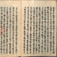 009-ZN00787.jpg