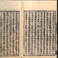 037-ZN00788.jpg