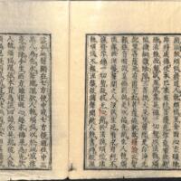 029-ZN00576.jpg