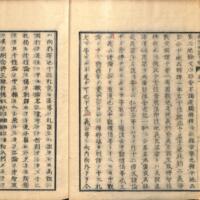 0011-ZN01014.jpg