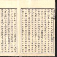 006-ZN00204.jpg