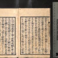 004-ZN00795.jpg