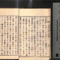 011-ZN00288.jpg