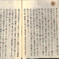 026-ZN00515.jpg