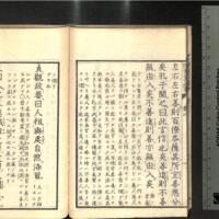 027-ZN00407.jpg