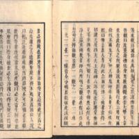 041-ZN00489.jpg