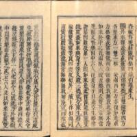 011-ZN00093.jpg