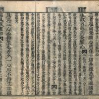 023-ZN00501.jpg