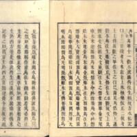 010-ZN00492.jpg