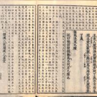 044-ZN01209.jpg