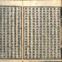 041-ZN00539.jpg