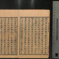 009-ZN01141.jpg