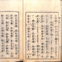 019-ZN01056.jpg