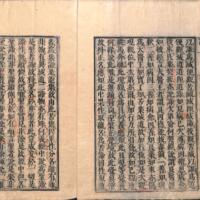 005-ZN00236.jpg