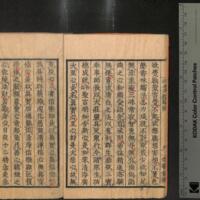 015-ZN01141.jpg
