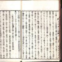 030-ZN00275.jpg