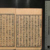 019-ZN01141.jpg