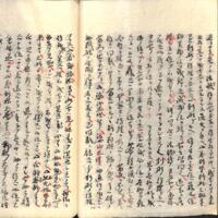 042-ZN00716.jpg