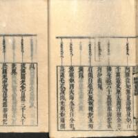 028-ZN01010.jpg