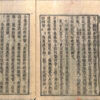 019-ZN00646.jpg
