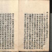 040-ZN00684.jpg