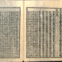 046-ZN00644.jpg