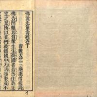 002-ZN00210.jpg