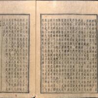 017-ZN00646.jpg