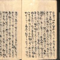 019-ZN00551.jpg