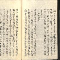 031-ZN01153.jpg