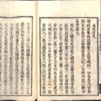 029-ZN01044.jpg