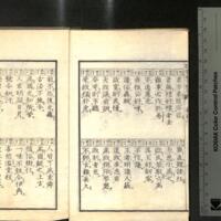 005-ZN00407.jpg