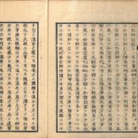 0005-ZN01014.jpg